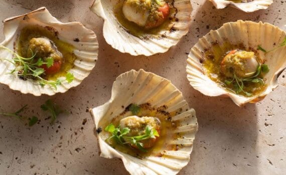 Scallops in shell.