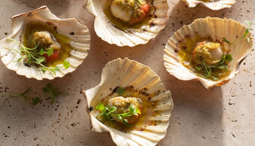 Scallops in shell.