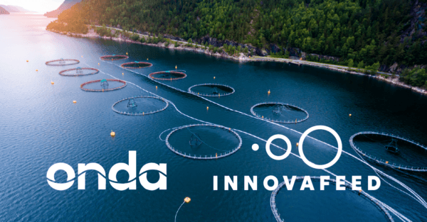 Onda and Innovafeed Announce Promising Results From Trials Using Insect-Based Ingredients in Salmon Nutrition