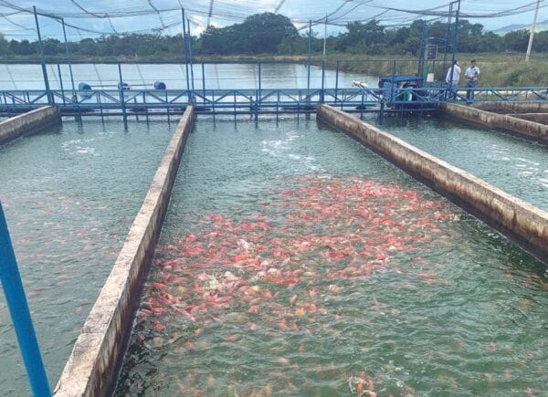 Quality That Shows in the Harvest: How to Choose Products That Deliver Real Results