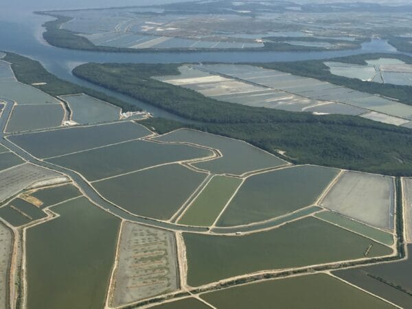 Monitoring the Effectiveness of Probiotic/Bioremediator Usage in Aquaculture