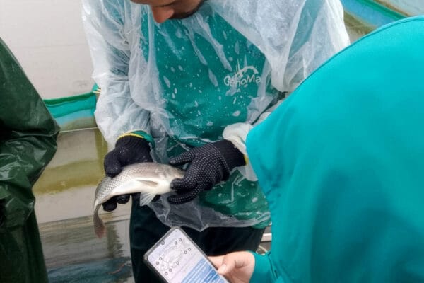 GenoMar Strengthens Animal Welfare Through Partnership With FAI