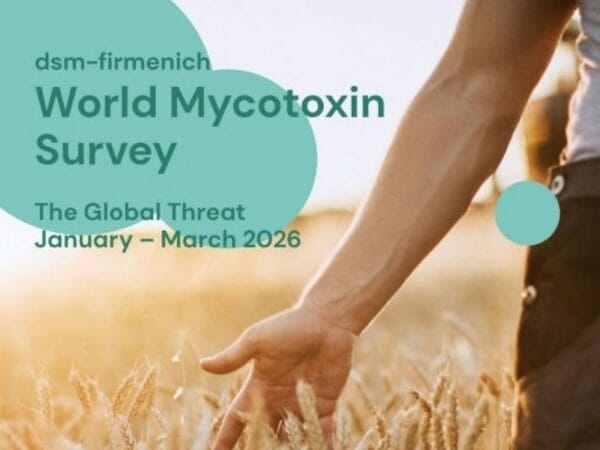 83% of Feed Samples Show Multi-Mycotoxin Contamination