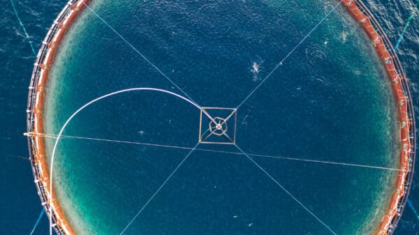 WellFish Tech Received Approval From the Norwegian Food Safety Authority for Its Non-Lethal Salmon Blood Sampling