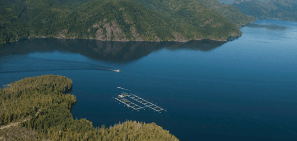 AtlantiCan Growth Partners Launches with the Goal of Creating a Blue Economy Fund Worth USD 70.46 million