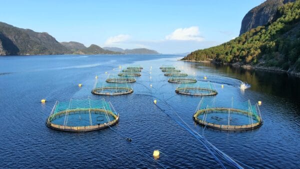 Next Level Aquaculture Performance Through Integrated Solutions