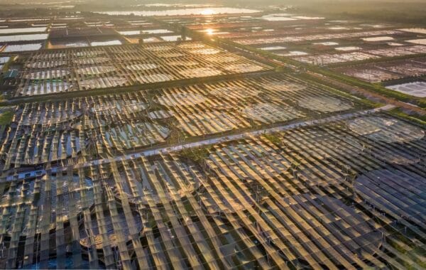 Evolving Aquaculture Paradigms: Essential for Sustainability