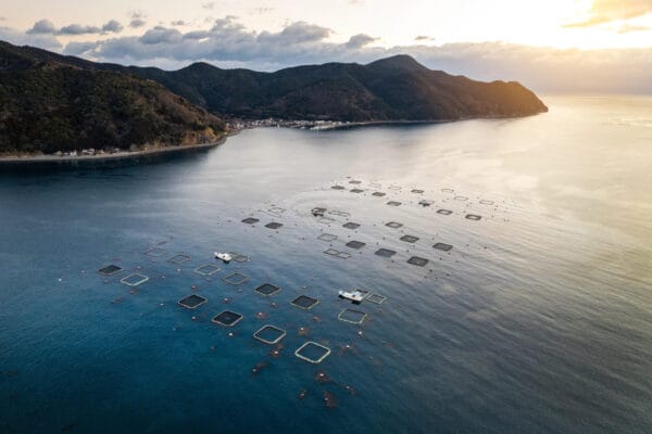 ASC Joins Global Call for Ocean-Centred Climate Action at COP31