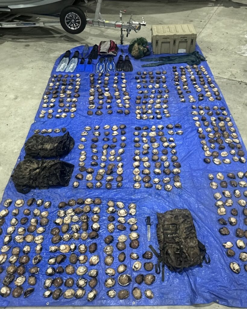 550 abalone, allegedly taken from the Pt Hicks Marine National Park.