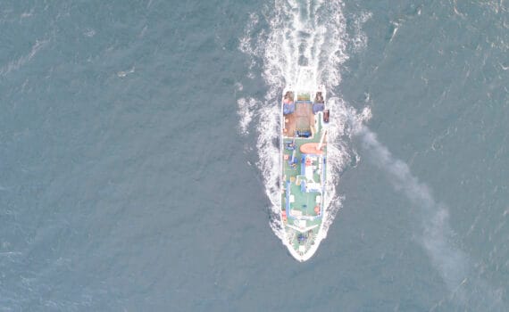 ©Ministry of Agriculture, Fisheries and Food of Spain.