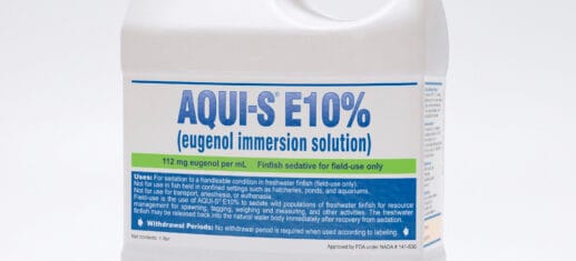 The FDA granted approval of AQUI-S® E10% (eugenol immersion solution) for sedating freshwater finfish to a handleable condition in field-use settings. AQUI-S E10% is a stable sedative solution containing the active ingredient eugenol that is used during field-based resource management activities, including spawning, tagging, weighing and measuring.