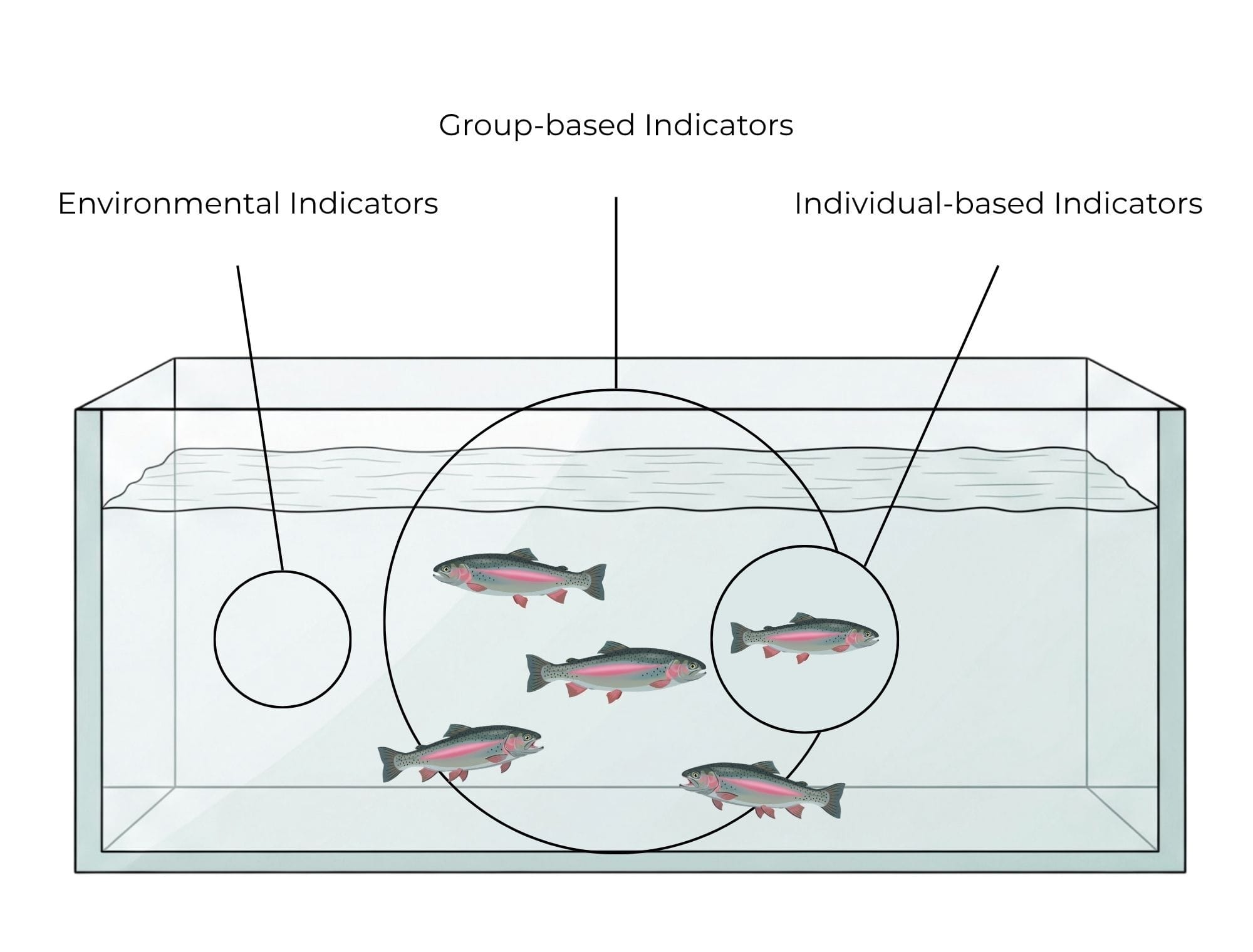 Diagram showing the three groups of operational welfare indicators used in the protocol