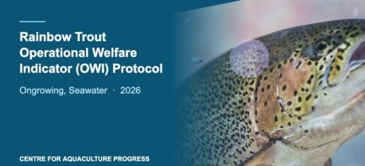 Rainbow trout with the title of the CAP Operational Welfare Indicator Protocol for ongrowing seawater production