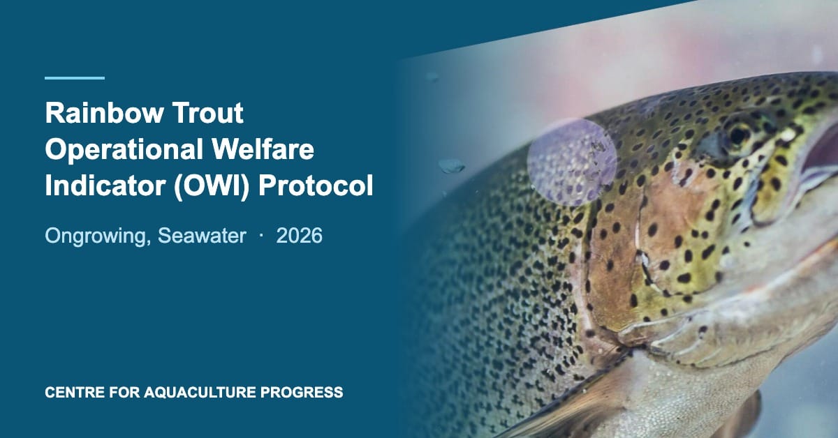 Rainbow trout with the title of the CAP Operational Welfare Indicator Protocol for ongrowing seawater production