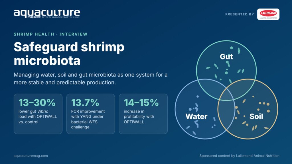 Safeguard Shrimp Microbiota: Interview with Lallemand Animal Nutrition