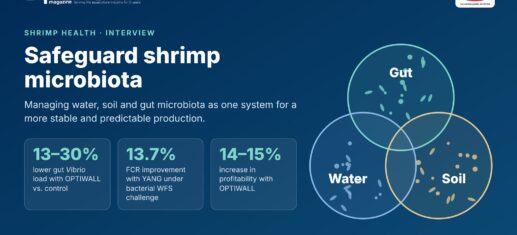 Safeguard shrimp microbiota: 13-30% lower gut Vibrio load with OPTIWALL, 13.7% FCR improvement with YANG and 14-15% higher profitability; water, soil and gut microbiota as one system. Sponsored by Lallemand Animal Nutrition.