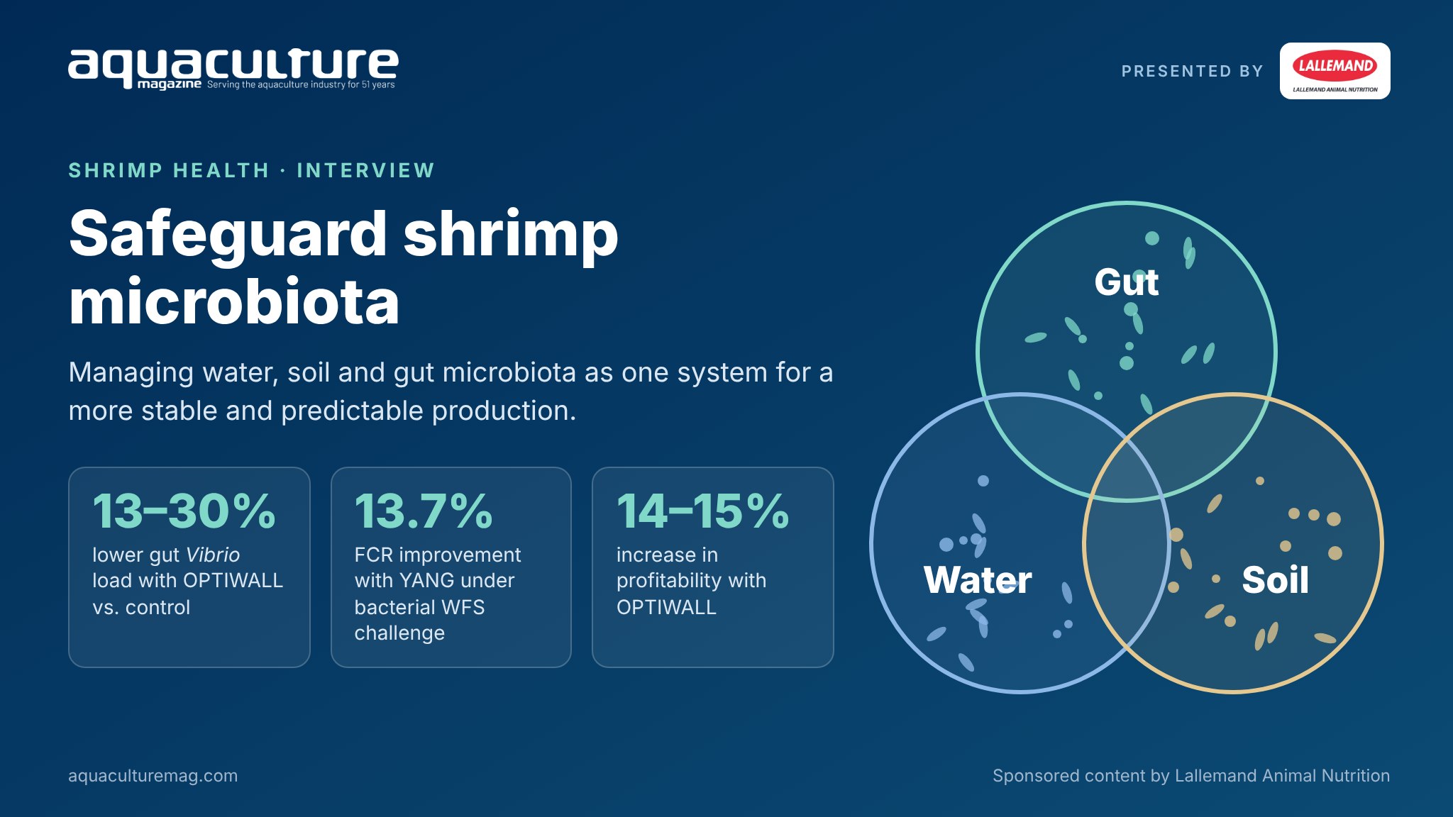 Safeguard shrimp microbiota: 13-30% lower gut Vibrio load with OPTIWALL, 13.7% FCR improvement with YANG and 14-15% higher profitability; water, soil and gut microbiota as one system. Sponsored by Lallemand Animal Nutrition.