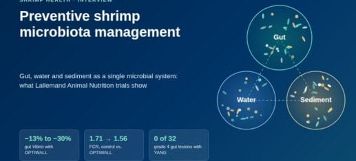 Graphic with three linked circles labeled gut, water and sediment, and three key figures: 13% to 30% less gut Vibrio with OPTIWALL, FCR from 1.71 to 1.56, and 0 of 32 grade 4 gut lesions with YANG