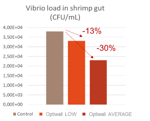 Bar chart of Vibrio load in shrimp gut (CFU/mL) for the control, OPTIWALL low and OPTIWALL average treatments