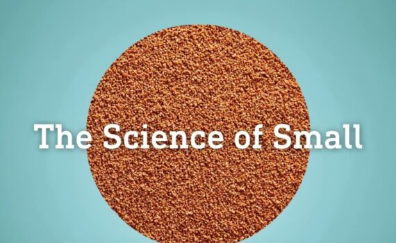 The Science of Small: microparticulate feed for larvae and juveniles, from the ADM Early Nutrition Aqua video