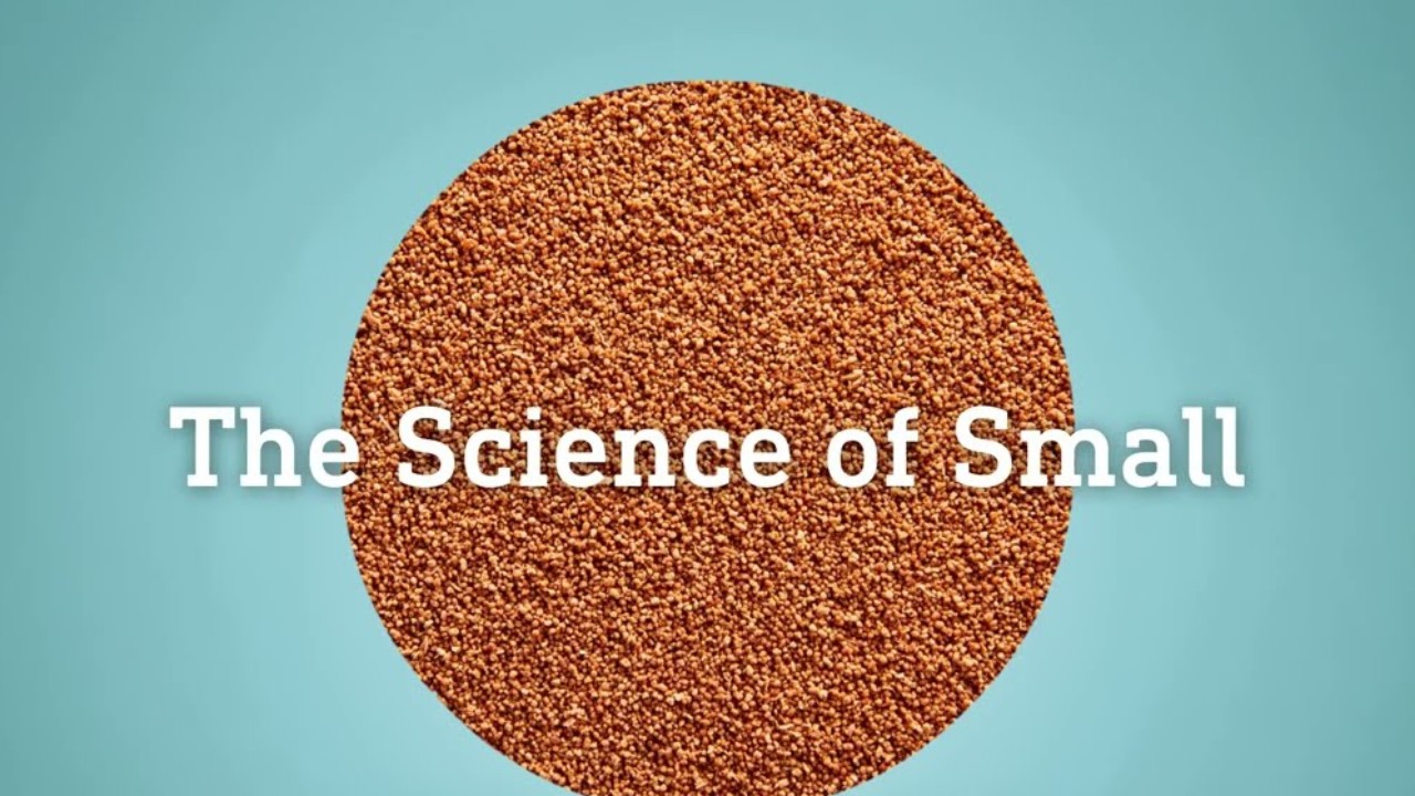 The Science of Small: microparticulate feed for larvae and juveniles, from the ADM Early Nutrition Aqua video