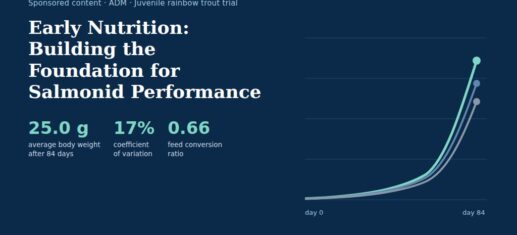 Illustration with the title Early Nutrition: Building the Foundation for Salmonid Performance, the figures 25.0 g, 17% and 0.66, and three rising growth curves