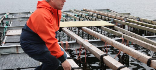 Maine mussel farmer
