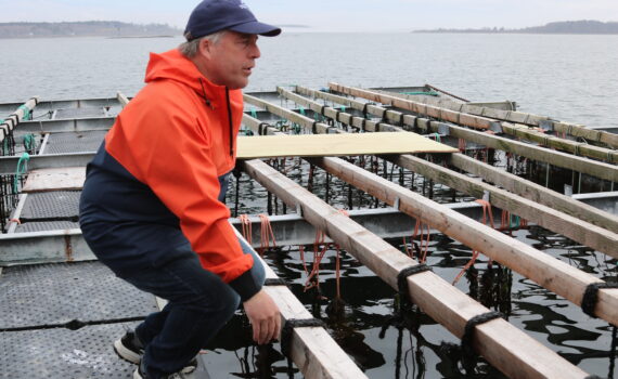 Maine mussel farmer